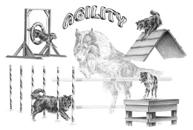 notelg_agility.jpg